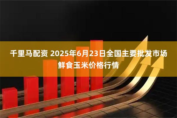 千里马配资 2025年6月23日全国主要批发市场鲜食玉米价格行情