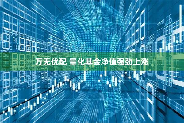 万无优配 量化基金净值强劲上涨