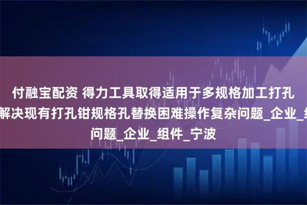 付融宝配资 得力工具取得适用于多规格加工打孔钳专利，解决现有打孔钳规格孔替换困难操作复杂问题_企业_组件_宁波