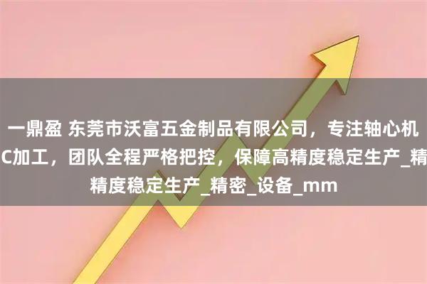 一鼎盈 东莞市沃富五金制品有限公司，专注轴心机加工与5轴CNC加工，团队全程严格把控，保障高精度稳定生产_精密_设备_mm